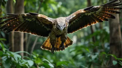 A unique animal that physically resembles an eagle but has crocodile-like coloring and appearance; a mutated, evolved animal captured in documentary-quality footage. Its extremely wild and detailed fur creates a very impressive sight in the forest. Filmed remotely with a professional 35mm DSLR camera for Ultra HD documentary filmmakers.