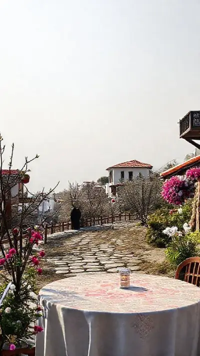 Güzel bir kış gününde, güneşli bir odada, yirmili yaşlarında, Asya kökenli, uzun, koyu kahverengi saçları yanlara örülmüş bir kadın duruyor. Çarpıcı yüz hatları arasında son derece detaylı kahverengi irisler, sulu gözler, belirgin kirpikler ve kalın kaşlar; küçük, sivri, kavisli bir burun; parlak pembe, kavisli dudaklar; küçük, son derece detaylı oval bir çene; narin bir yüz ve büyüleyici, sempatik, samimi bir bakış yer alıyor. Fiziksel olarak, kısa omuzları, küçük, yumuşak göğüsleri, ince beli, hafifçe belirgin göğüs kafesi, hafifçe çıkıntılı kürek kemikleri, canlı renkler, odaklanmış gözleri ve mükemmel bir ışıklandırması var. Kadın, çarpıcı derecede gerçekçi detaylara sahip profesyonel bir model.