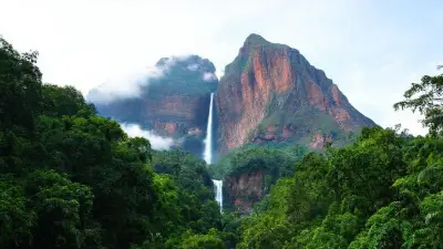 A dense, lush tropical forest is seen in the foreground. The trees are dense and vibrant green tones.

The lower part of the waterfall above the forest is covered with fog and clouds.

A mountain of huge, dark reddish-brown sheer blocks of rock rises in the background.

A thin and very high waterfall flows down from the top of the mountain. The long and thin structure of Angel Falls is clearly evident.

The sky is light blue, with some light clouds.