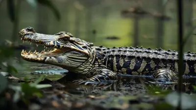 A crocodile disguised as a zebra, an animal with incredibly realistic wild patterns that silently watches its surroundings from the depths of the forest, is created in a wildlife documentary-like composition with an anatomically realistic structure;