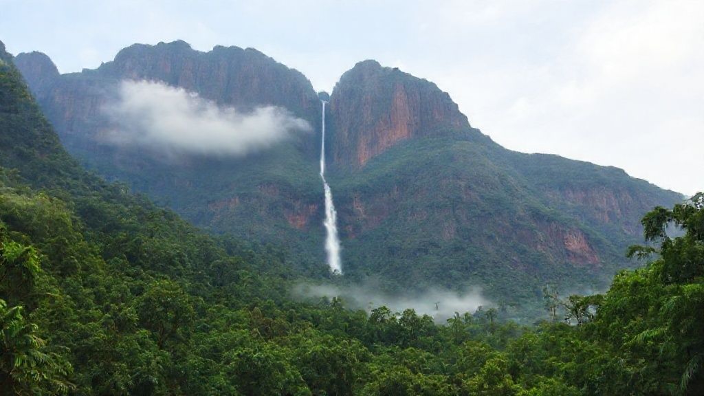 A dense, lush tropical forest is seen in the foreground. The trees are dense and vibrant green tones.
The lower part of the waterfall above the forest is covered with fog and clouds.
A mountain of huge, dark reddish-brown sheer blocks of rock rises in the background.
A thin and very high waterfall flows down from the top of the mountain. The long and thin structure of Angel Falls is clearly evident.
The sky is light blue, with some light clouds.