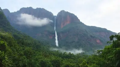 A dense, lush tropical forest is seen in the foreground. The trees are dense and vibrant green tones.
The lower part of the waterfall above the forest is covered with fog and clouds.
A mountain of huge, dark reddish-brown sheer blocks of rock rises in the background.
A thin and very high waterfall flows down from the top of the mountain. The long and thin structure of Angel Falls is clearly evident.
The sky is light blue, with some light clouds.