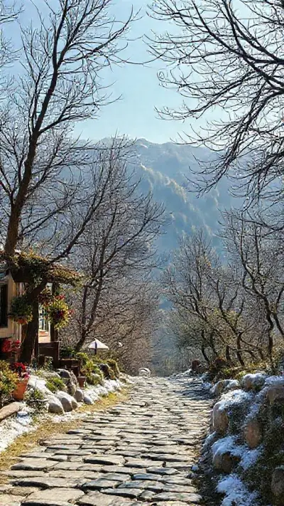 Güzel bir kış gününde, güneşli bir odada, yirmili yaşlarında, Asya kökenli, uzun, koyu kahverengi saçları yanlara örülmüş bir kadın duruyor. Çarpıcı yüz hatları arasında son derece detaylı kahverengi irisler, sulu gözler, belirgin kirpikler ve kalın kaşlar; küçük, sivri, kavisli bir burun; parlak pembe, kavisli dudaklar; küçük, son derece detaylı oval bir çene; narin bir yüz ve büyüleyici, sempatik, samimi bir bakış yer alıyor. Fiziksel olarak, kısa omuzları, küçük, yumuşak göğüsleri, ince beli, hafifçe belirgin göğüs kafesi, hafifçe çıkıntılı kürek kemikleri, canlı renkler, odaklanmış gözleri ve mükemmel bir ışıklandırması var. Kadın, çarpıcı derecede gerçekçi detaylara sahip profesyonel bir model.